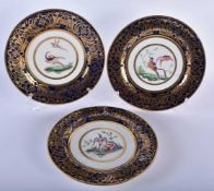 AN UNUSUAL SET OF THREE EARLY 19TH CENTURY FLIGHT BARR & BARR WORCESTER PLATES finely painted with