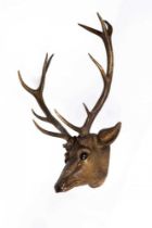 A BLACK FOREST STAG HEAD, 19th century, with carved wood head, painted eyes and real red deer