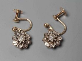 A PAIR OF DIAMOND CLUSTER DROP EARRINGS, the central stone within a border of eight small stones,