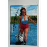 Sophia Loren signed colour photograph, with certificate of authenticity from hindsight collectibles,