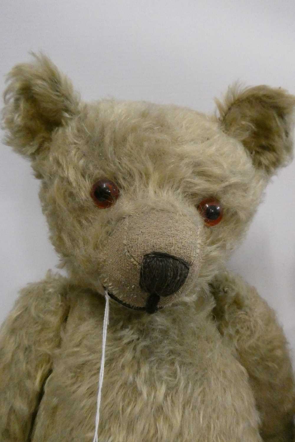 Two old straw filled teddies, comprising a 20" vintage English bear with shaven muzzle, amber eyes - Image 2 of 7