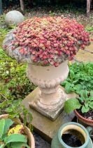 A 19thC stone urn, originally from St. Mary’s House in Beverley. 40cm h.