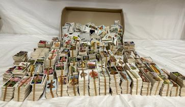 A large quantity of cigarette cards: Black Cat, Will's, various sets, etc. 10000+ cards.