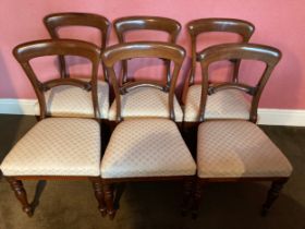 Set of six Victorian dining chairs with cream upholstery covered seats. Height to back 86cm.