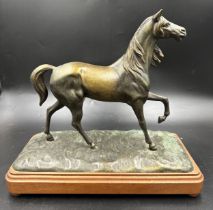 A bronze horse on a plinth 34cm h, plinth 36.5cm w x 17cm d. No markings.