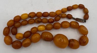 Butter scotch amber bead necklace, length 48cm, weight 24gm.