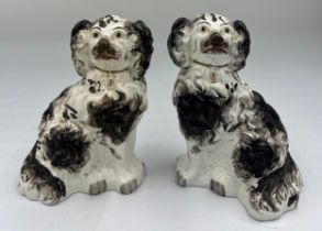 A pair of 19thC Staffordshire black and white spaniels. 19cm h.