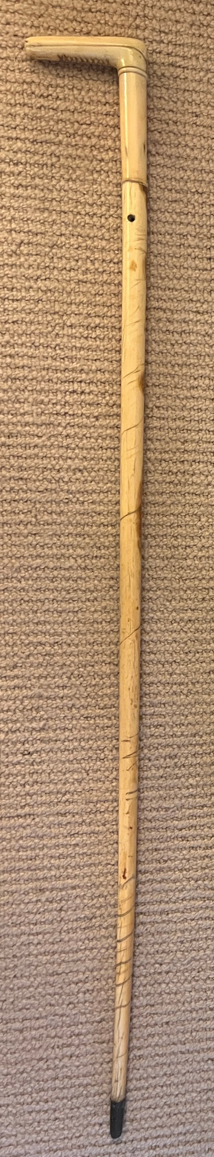 A smoothed Narwhal tusk walking cane with ivory handle. 82cm h. Ivory submission reference 2YSWELJP.