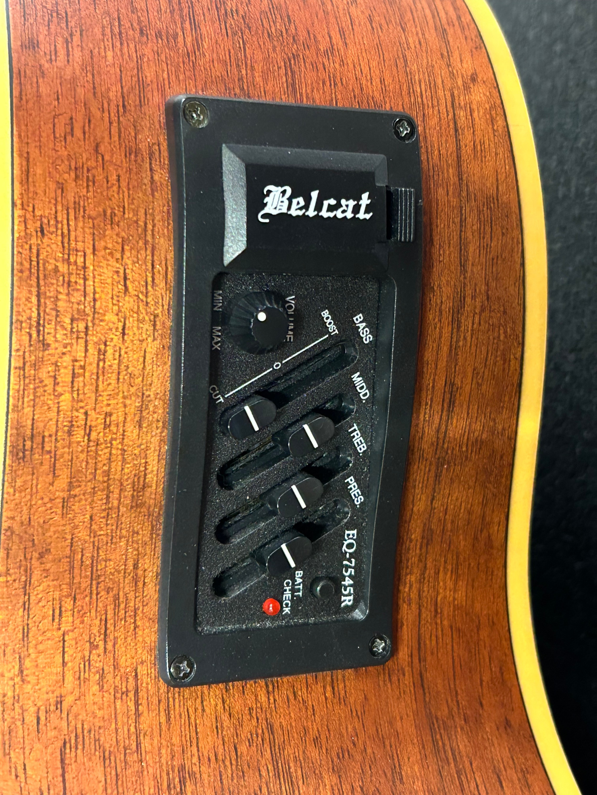 A Fleetwood Belcat EQ-7545R electric acoustic 4 string guitar, Model SBC- 200SE-SN in hard case - Image 5 of 11