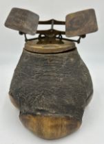 A taxidermy specimen of a Rhino foot with a set of mid 19thC postal scales attached to the top.