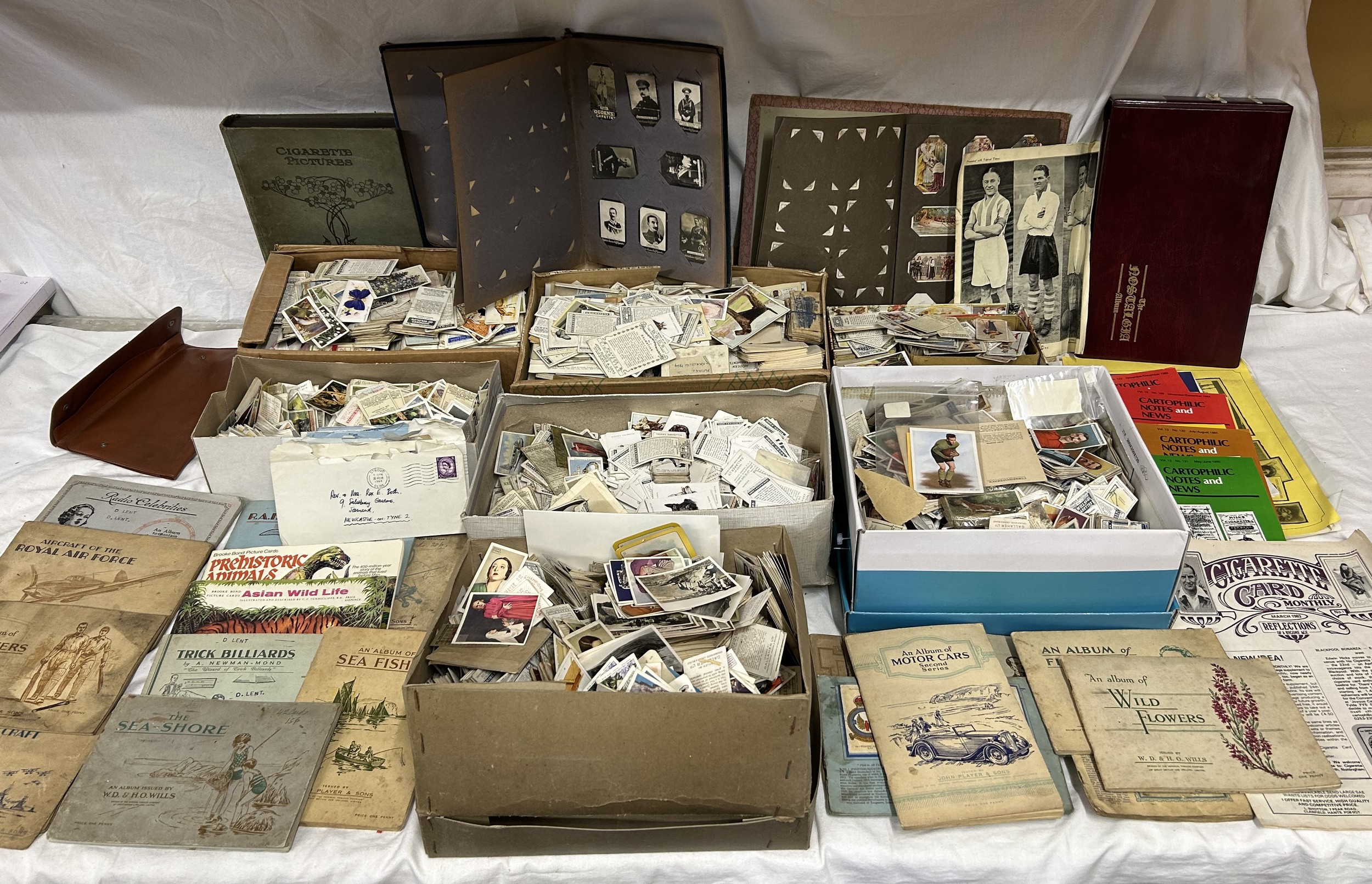 A vast quantity of cigarette cards, 7 shoeboxes full to include albums (many complete), various