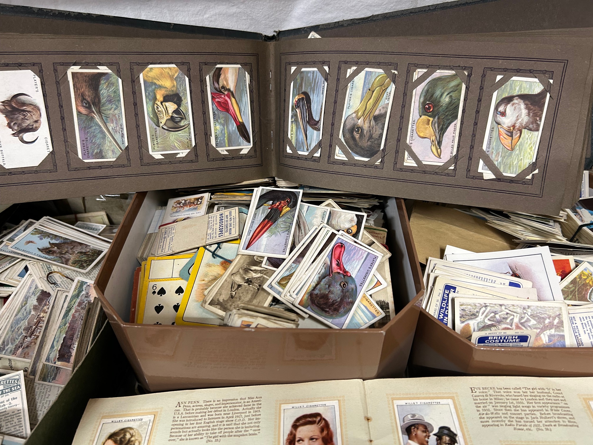 A very large quantity of cigarette cards, majority loose, some in picture albums. Wills, Hignett' - Bild 5 aus 7