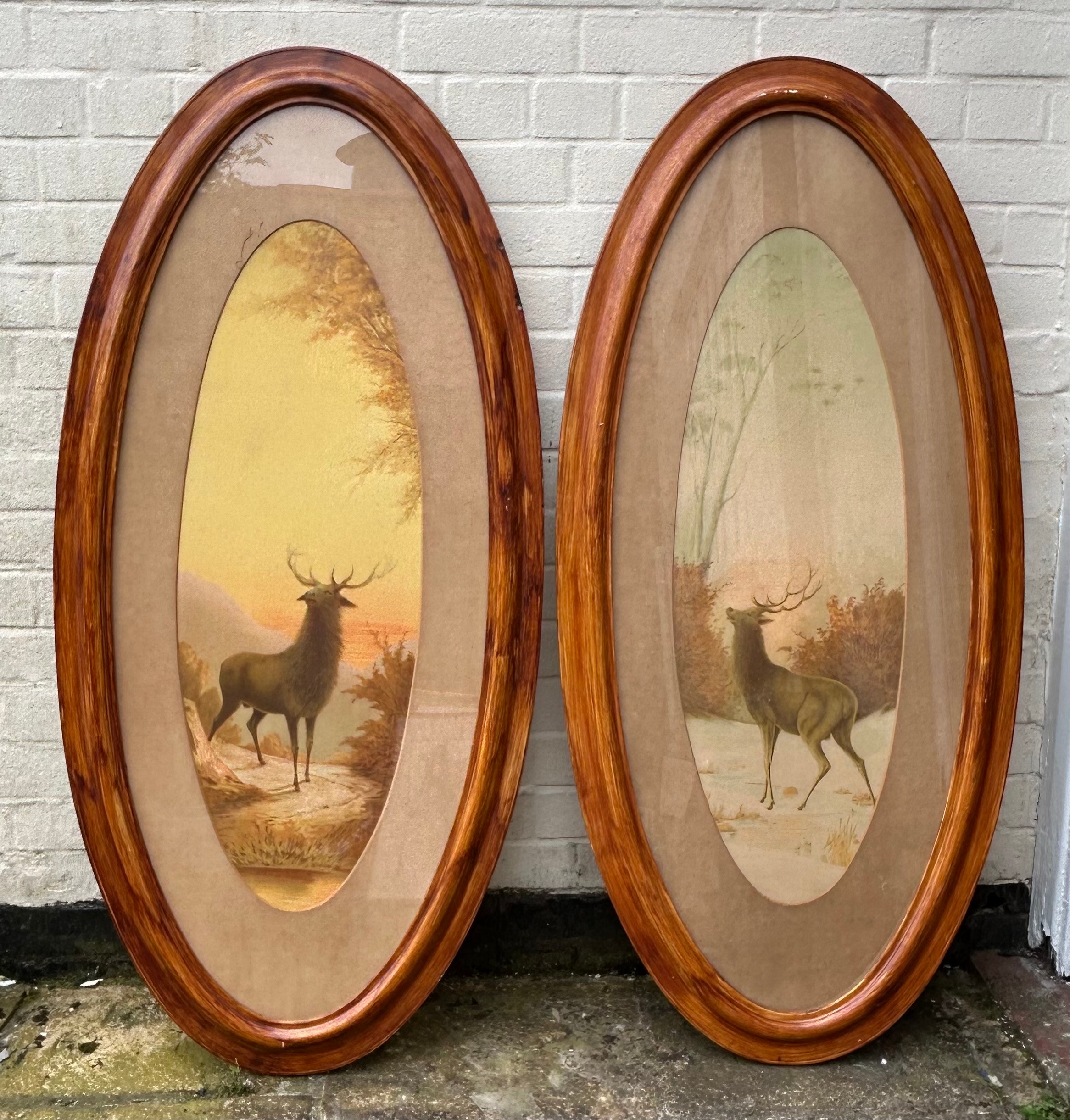 A pair of stag prints in large wooden oval frames. Frames 135 x 63cm.