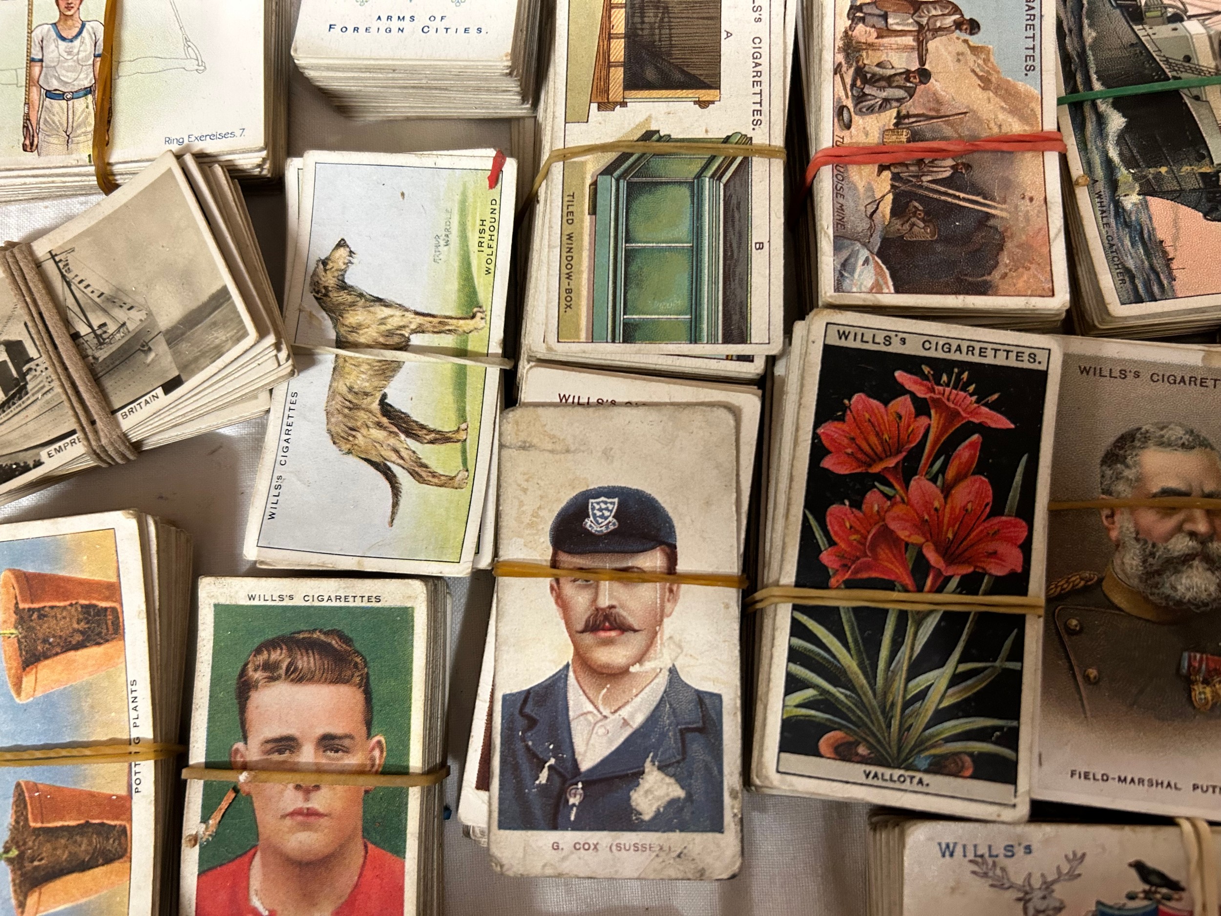 A vast quantity of cigarette cards to include many complete Wills sets together with random boxed - Bild 3 aus 8