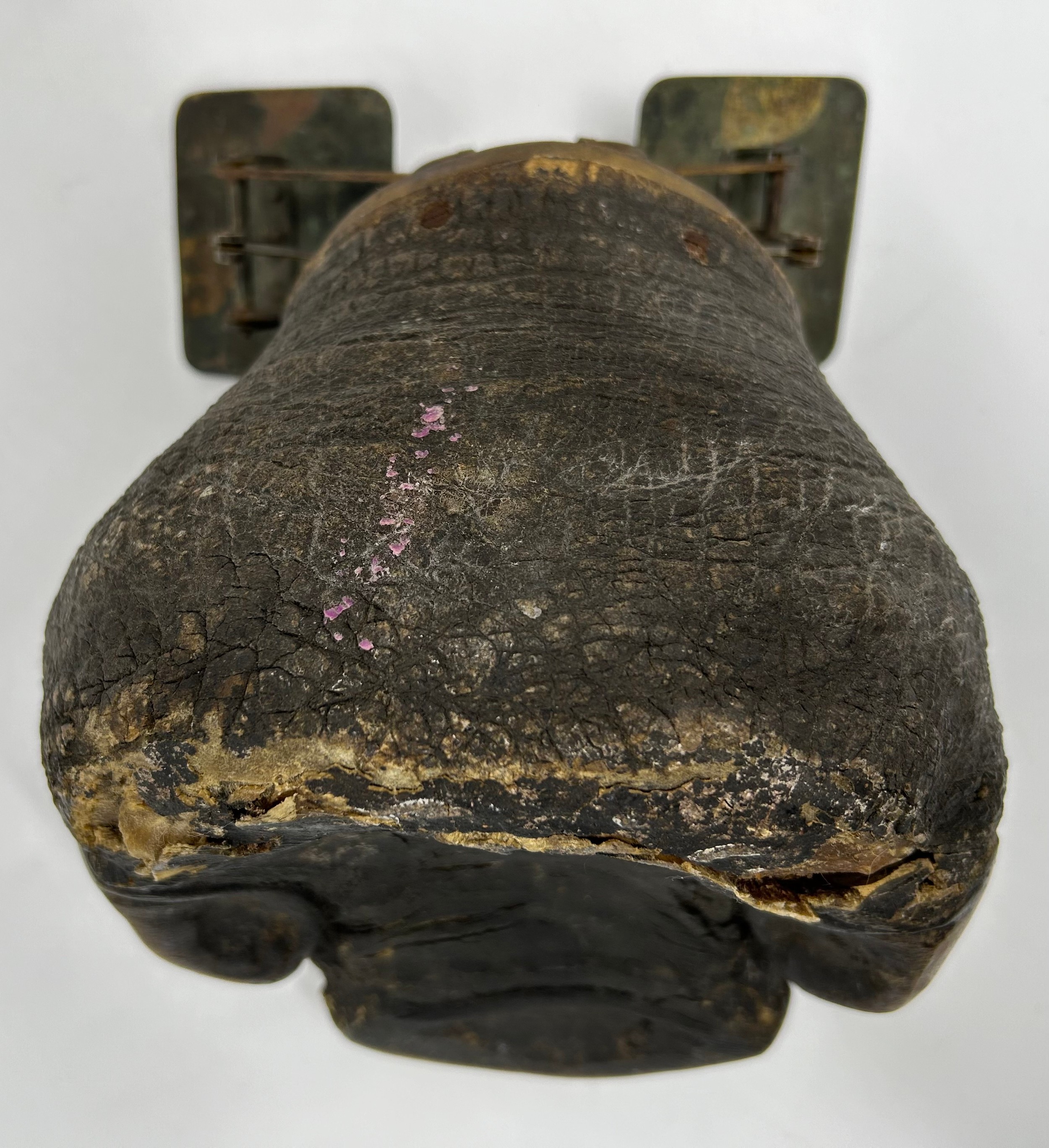 A taxidermy specimen of a Rhino foot with a set of mid 19thC postal scales attached to the top. - Image 6 of 7