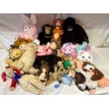 A collection of soft toys to include Keel, Brush a Love by Matchbox, Ty Beanie Babies, Anne
