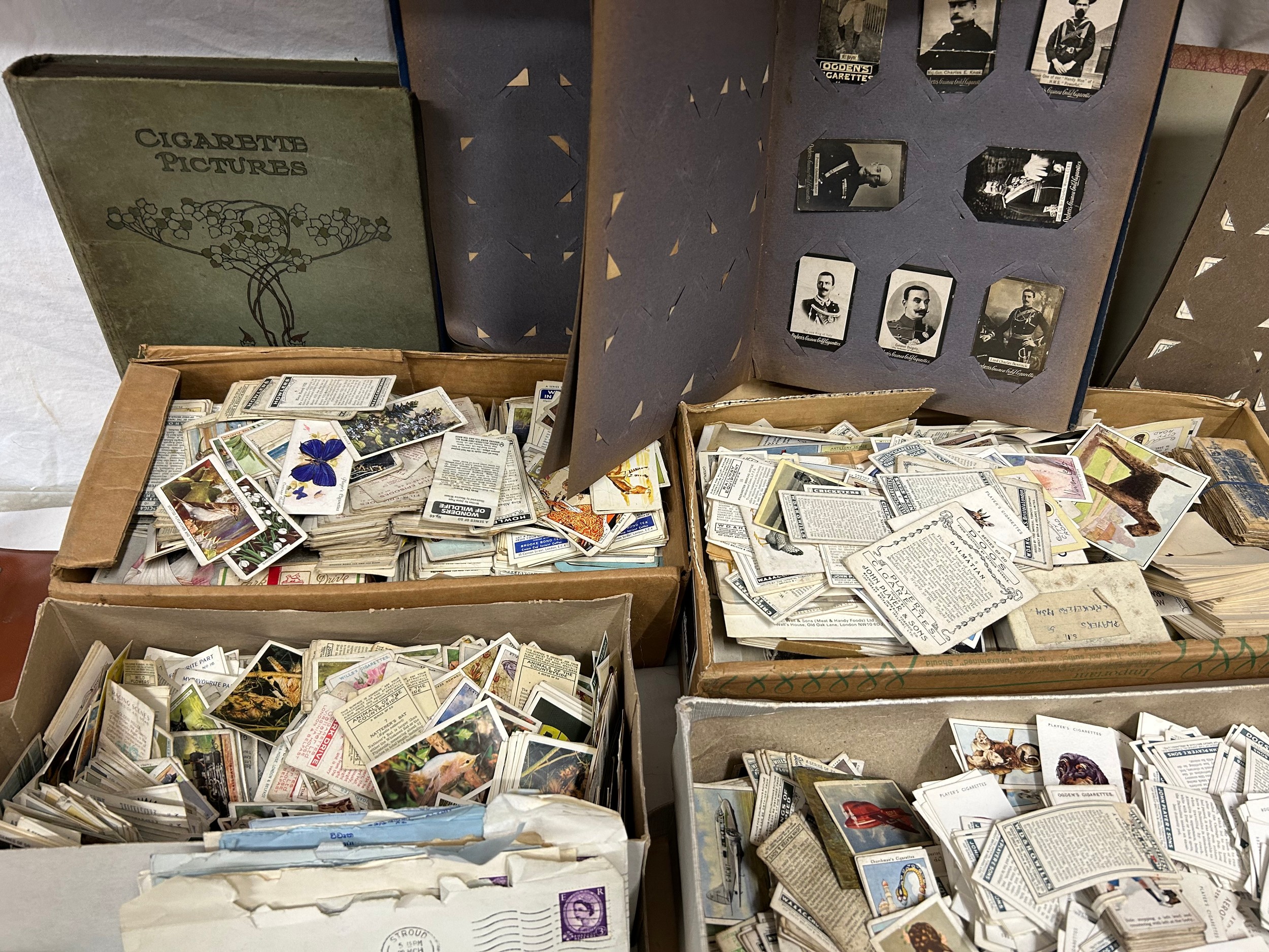 A vast quantity of cigarette cards, 7 shoeboxes full to include albums (many complete), various - Bild 4 aus 8