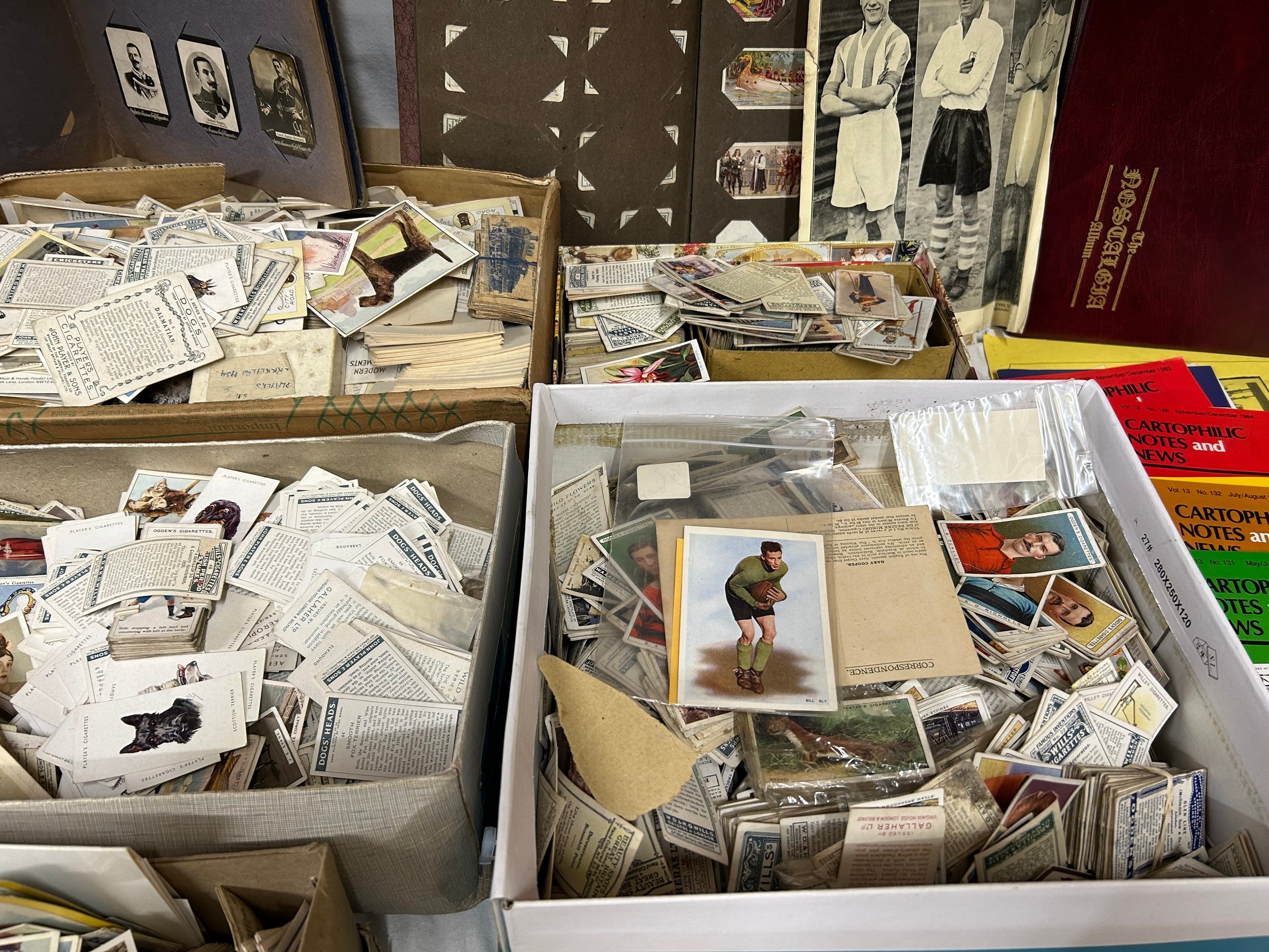 A vast quantity of cigarette cards, 7 shoeboxes full to include albums (many complete), various - Bild 3 aus 8