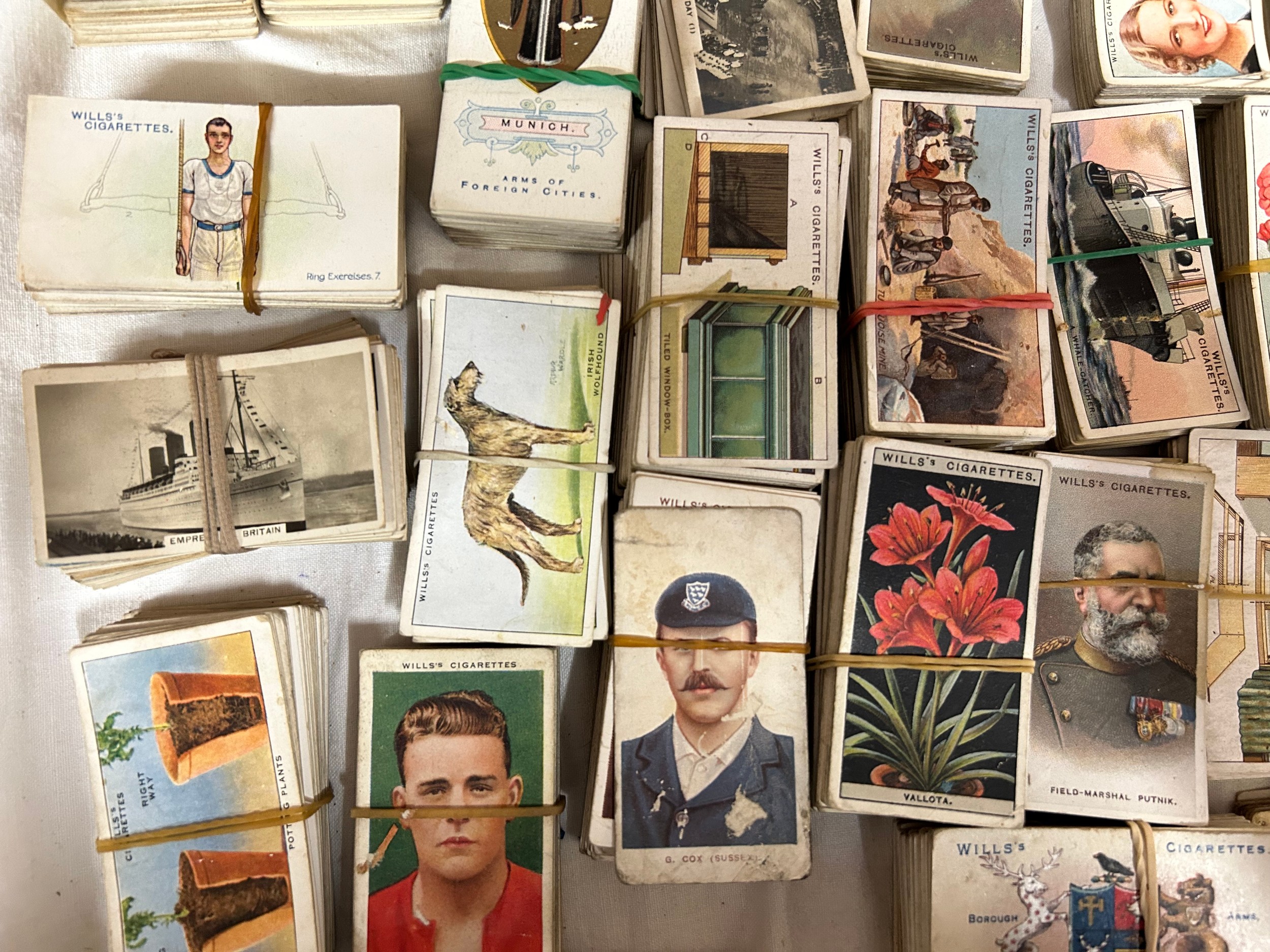 A vast quantity of cigarette cards to include many complete Wills sets together with random boxed - Bild 8 aus 8