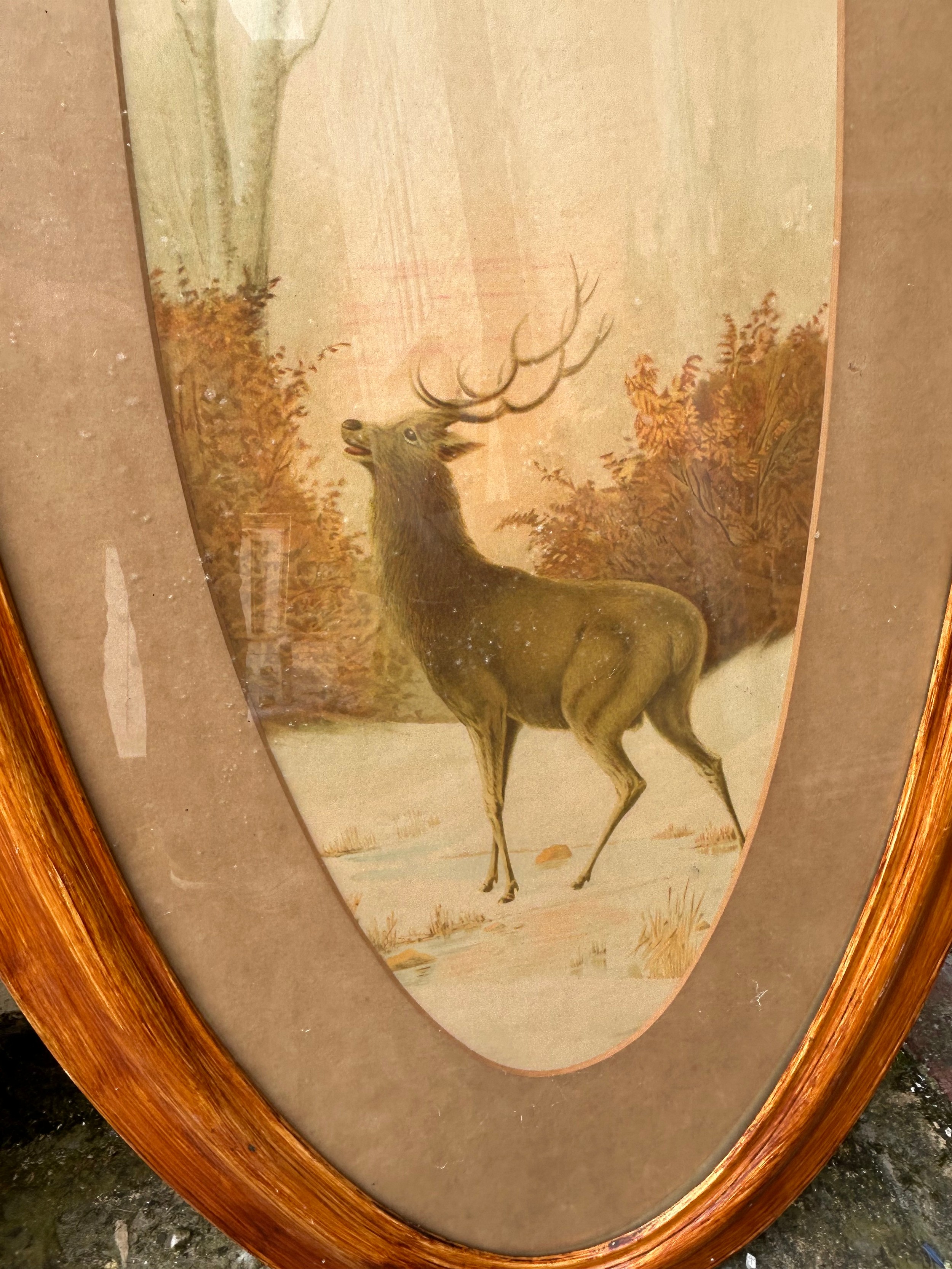 A pair of stag prints in large wooden oval frames. Frames 135 x 63cm. - Image 3 of 5