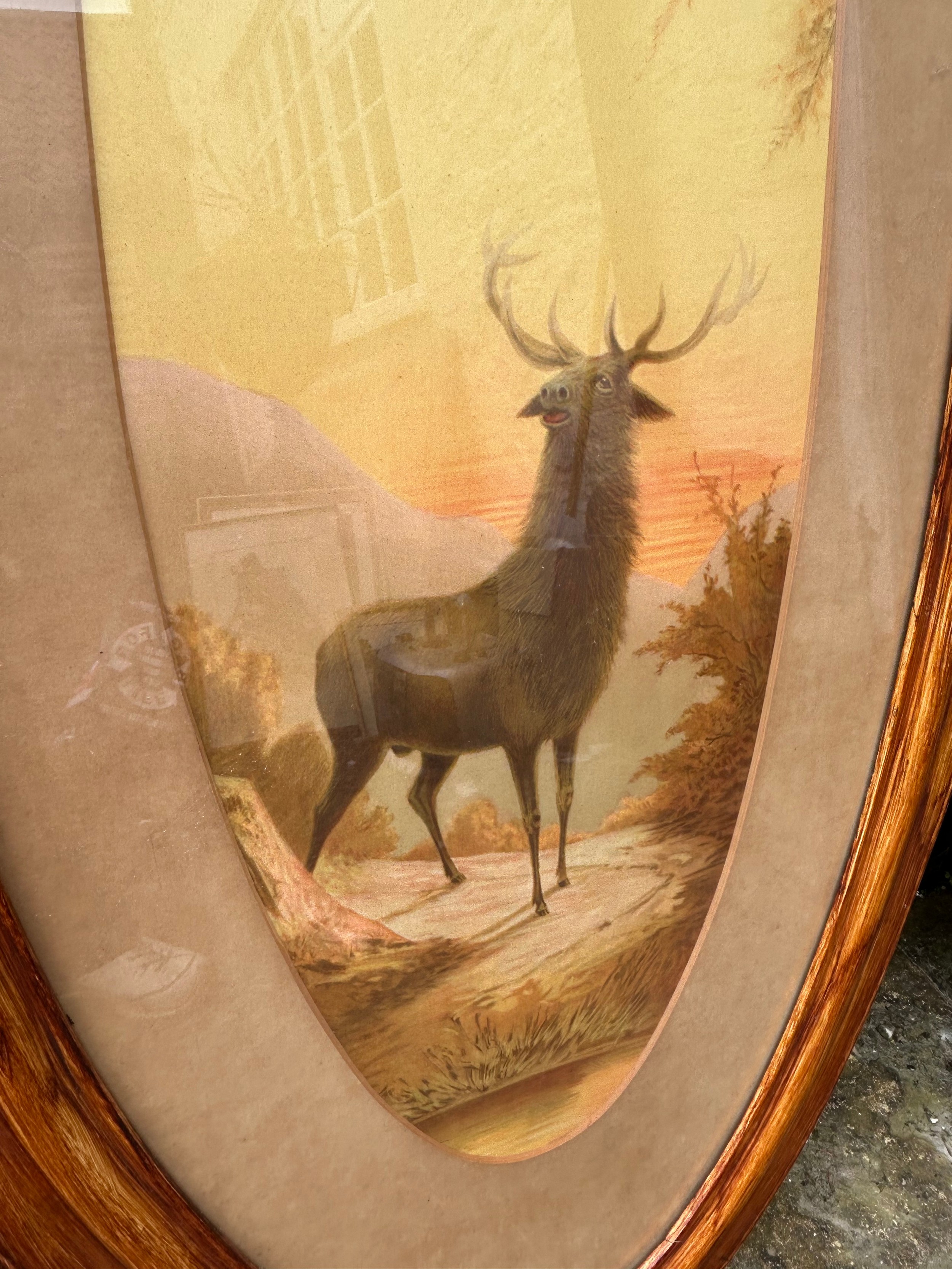 A pair of stag prints in large wooden oval frames. Frames 135 x 63cm. - Image 2 of 5