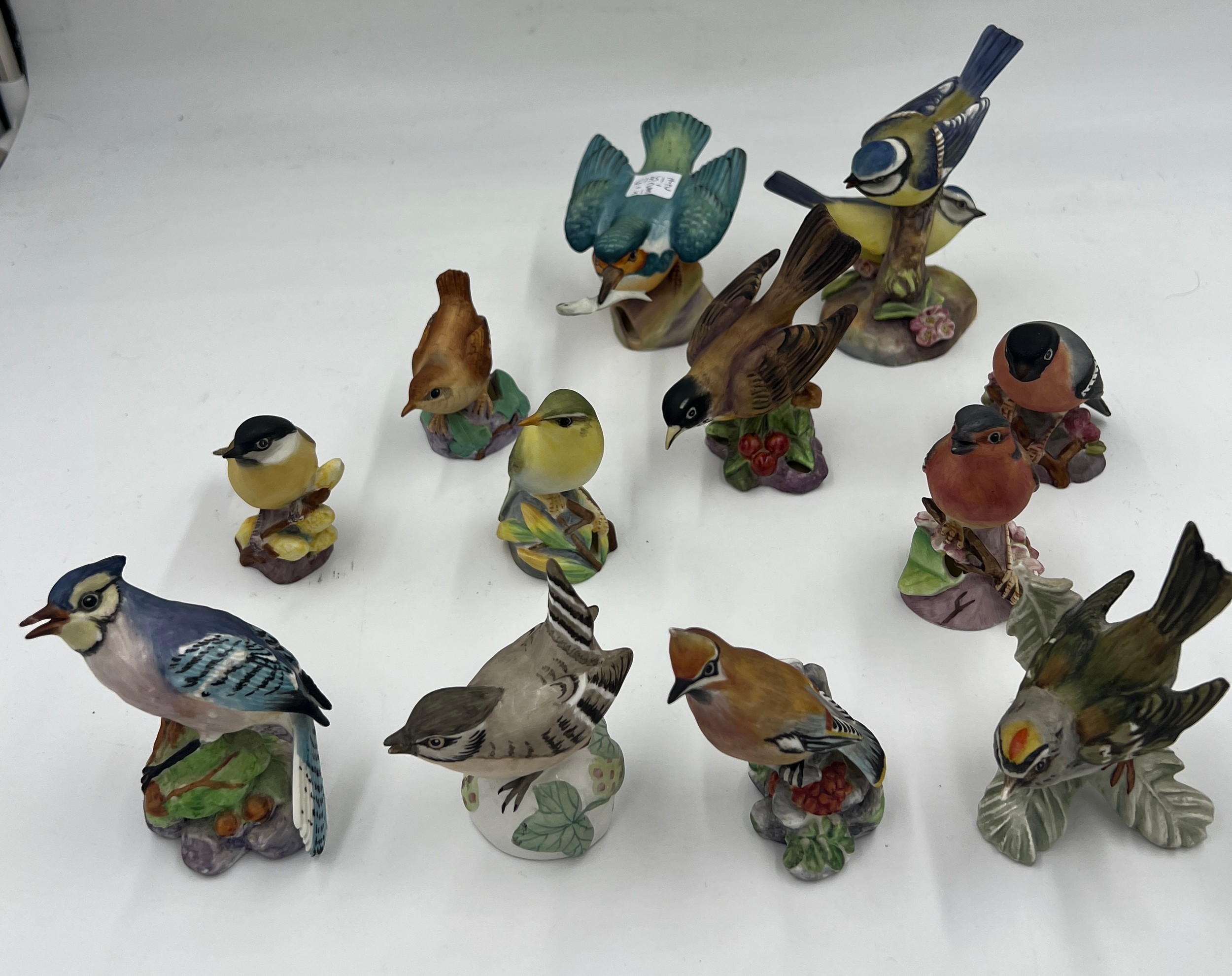 Thirteen various bird figurines to include Royal Worcester Marsh Tit, Wren, American Robin, - Image 3 of 3