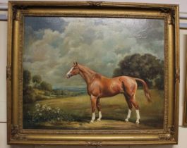Y Joy Stanley Ricketts (b 1929), study of a brown racehorse, oil on canvas, signed and dated 1979,