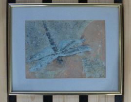 Bernard Rooke, Dragonfly, mixed media, signed in pencil, verso paper on Bernard Rooke Gallery,