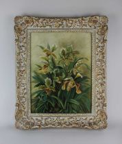 AB Novis orchids, oil on canvas, signed and dated 94, 43cm by 32cm