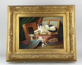 David Miller, cats amongst books and paintings, oil on board, signed, verso printed Certificate of