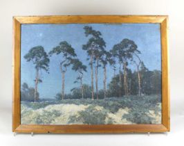 Thomas Ambrose Colley-Smith (1881-1942), view through pine trees, oil on canvas, signed, 50cm by
