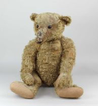 An early Steiff mohair jointed teddy bear with black button eyes and pronounced muzzle with black