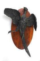 A cast bronze sculpture of a pheasant fine detail to the feathers and the feet scaled, deep colour
