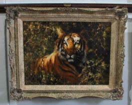 Tony Forrest (British, b.1961) - 'Study of a Tiger', oil on canvas, signed, inset ornate relief