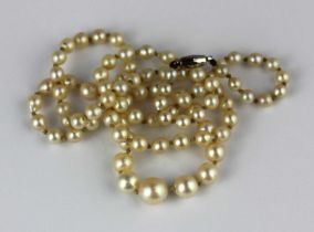 A single row necklace of graduated cultured pearls, strung knotted on a white gold clasp detailed '
