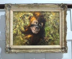 Tony Forrest (British, b.1961) - 'Study of an Orangutan', oil on canvas, signed, inset ornate relief