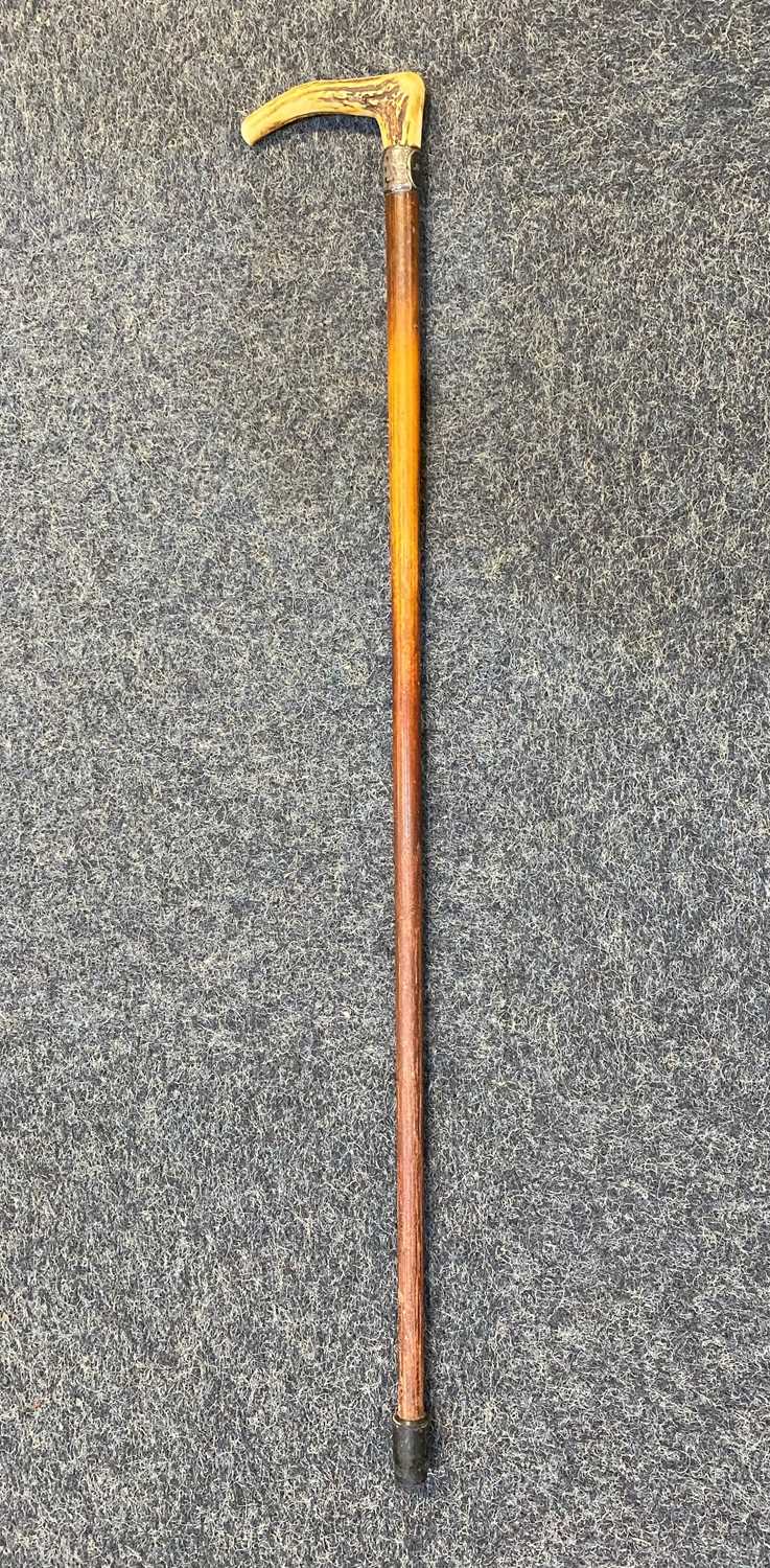 A silver mounted walking stick engraved 'Mr Wills', with antler handle 80cm high - Image 2 of 2