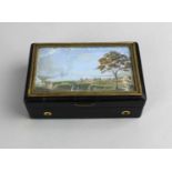 A small music box in gilt mounted tortoiseshell box, the rectangular lid decorated with a view of