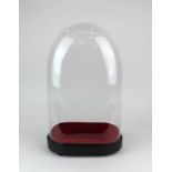 A glass display dome on painted wooden base 43cm high overall
