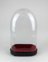 A glass display dome on painted wooden base 43cm high overall