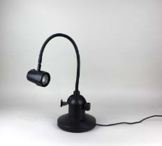 A Serious Reader table lamp