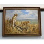 John Stephen (b 1926), cheetahs in a landscape, oil on board, signed, 45cm by 59cm, with Medici