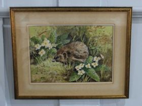 John Stephen (b 1926), Hedgehog and Primula, watercolour, unsigned, 23cm by 33cm, with Natura