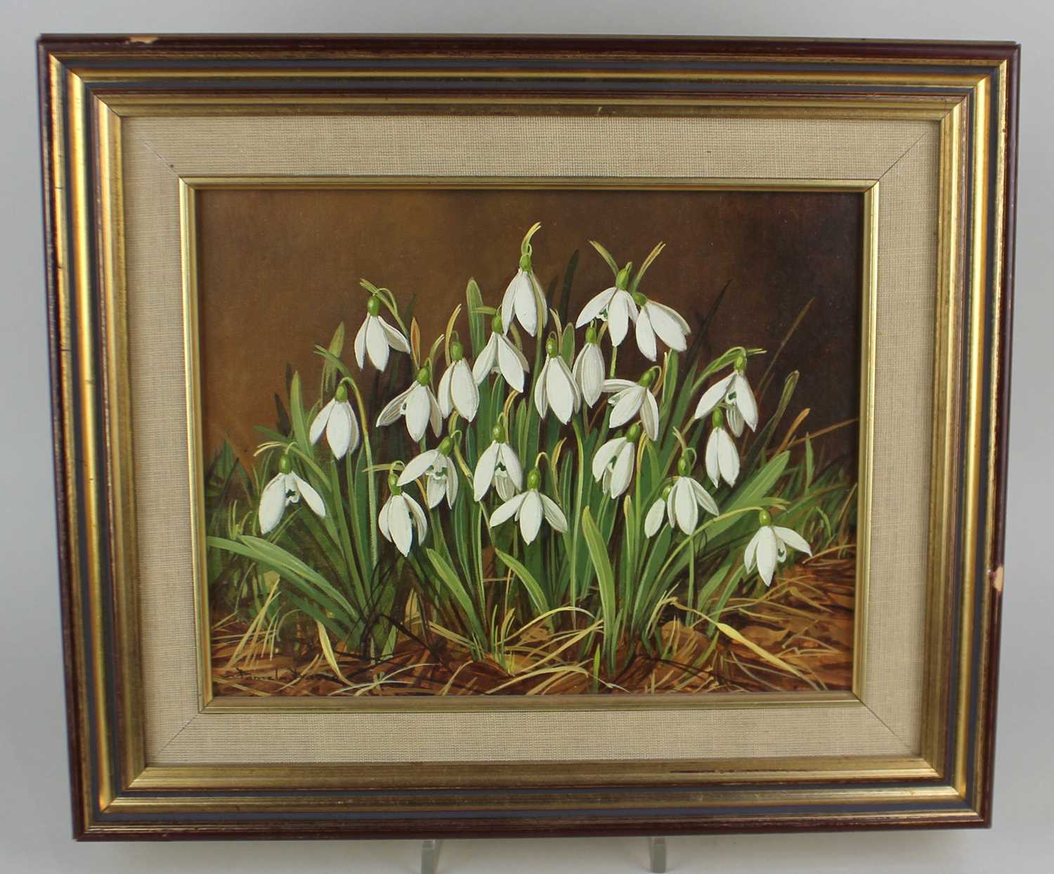 Pamela Davis, snowdrops, oil on board, signed, 19cm by 24cm, with paper receipt from the Crane