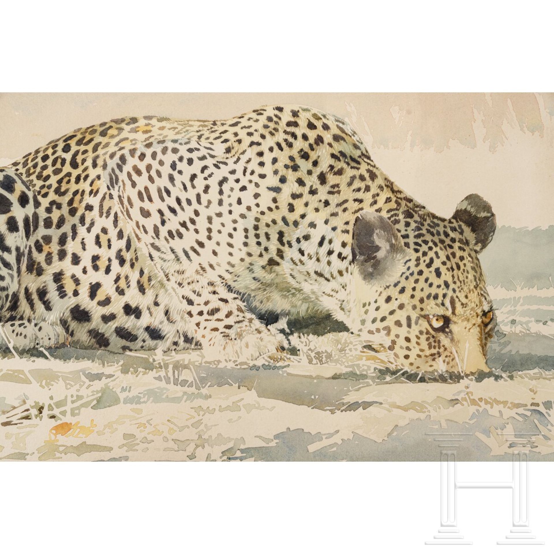 Leigh Voight, "Leopard drinking", Südafrika, datiert 1997 - Image 2 of 3