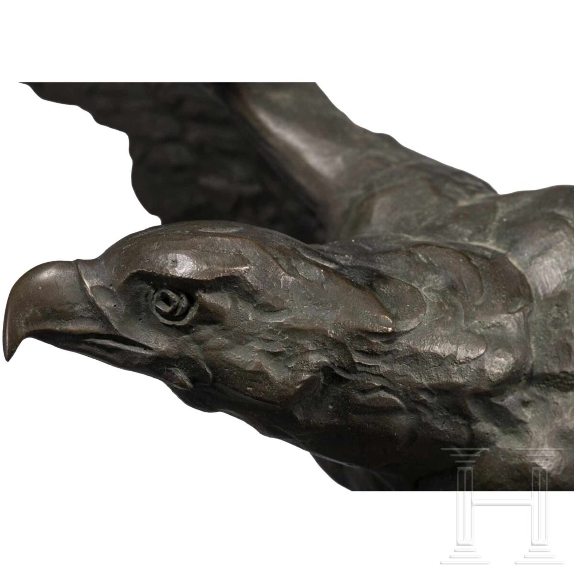 Großer Bronzeadler - Bild 5 aus 8