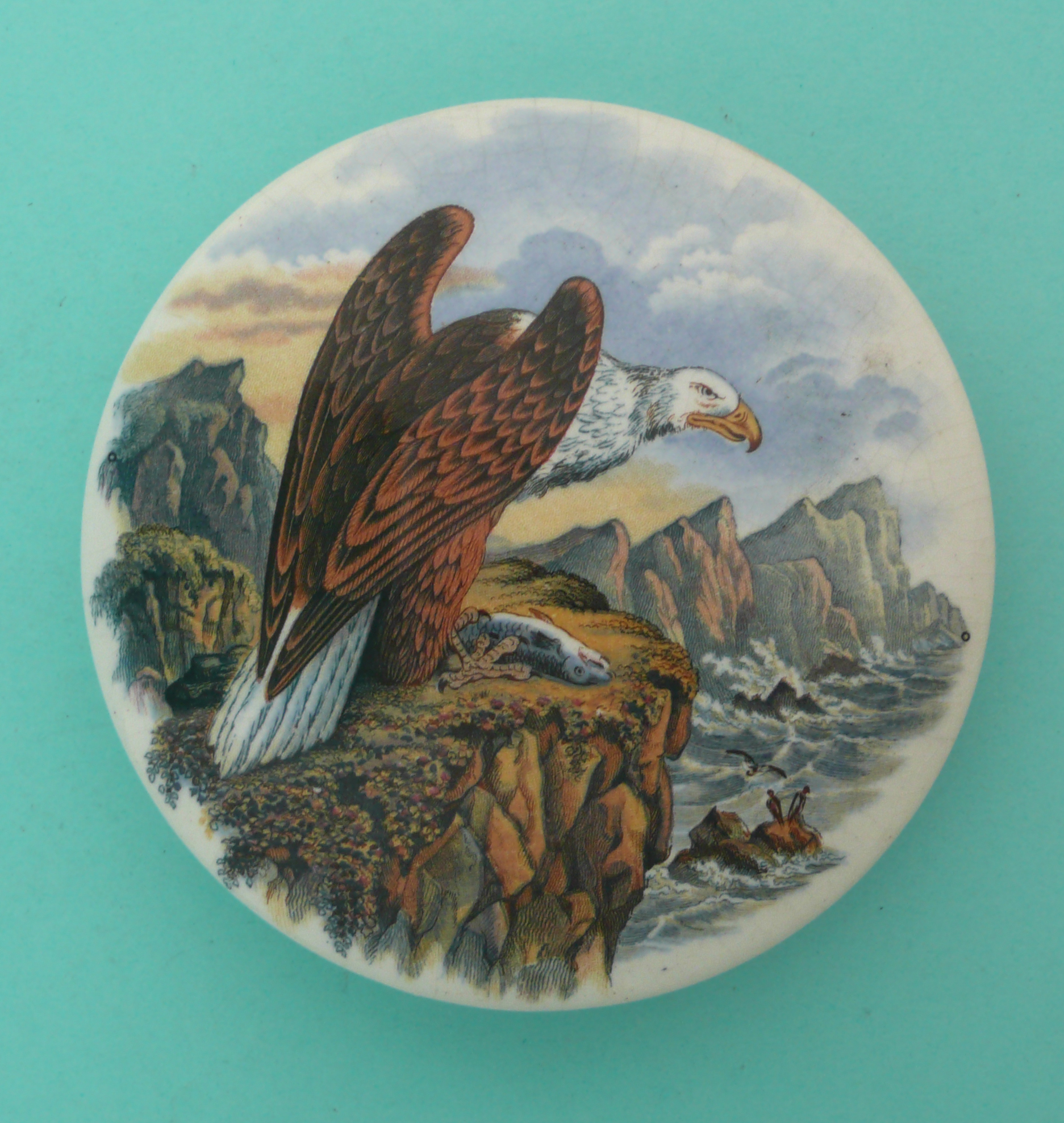 The Sea Eagle (289). (potlid, pot lid, Prattware, Staffordshire).