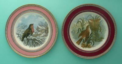 Two good side plates: The Robin (278) pink ground and The Reed Warbler (285) maroon ground (2). (