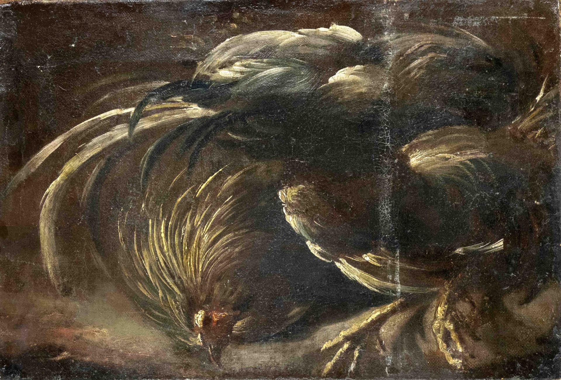 Italian painter of the 17th century, Fowl (cockfight?), fragment, oil on canvas, unsigned, rubbed,