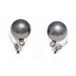 Tahitian pearl clip ear studs WG 585/000 with 2 fine gray Tahitian pearls 12 mm with very few